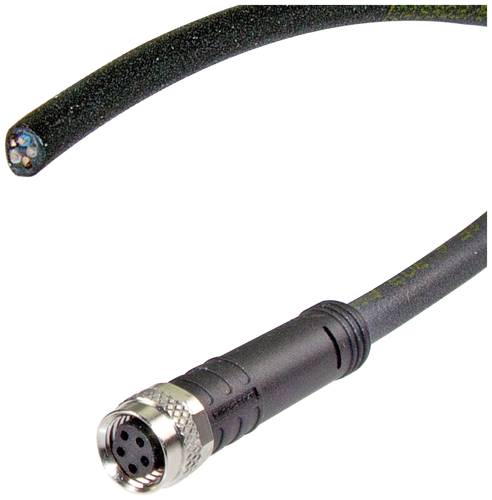 LED2WORK Anschlussleitung 200100-24 Schwarz 1St. LED2WORK Anschlussleitung 200100-24 Schwarz 1St. von LED2WORK