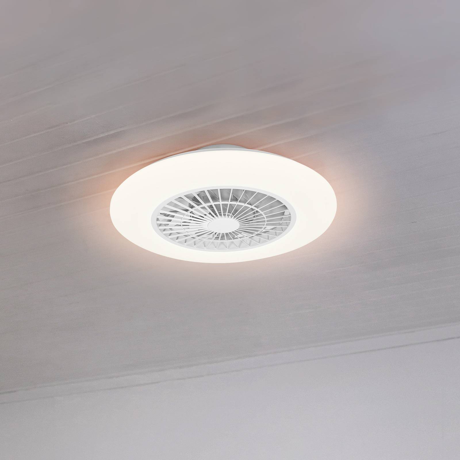 LEDVANCE SMART+ WiFi LED-Deckenventilator Round von LEDVANCE SMART+