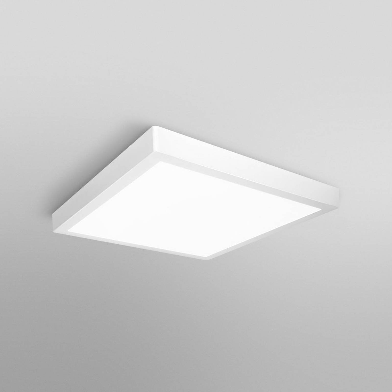 LEDVANCE SMART+ WiFi Orbis Downlight Surface 40x40 LEDVANCE SMART+ WiFi Orbis Downlight Surface 40x40 von LEDVANCE SMART+