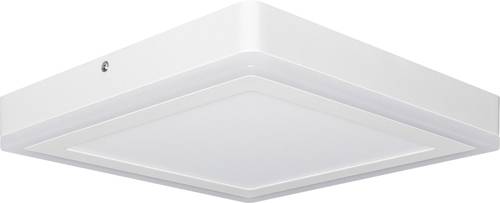 LEDVANCE 4058075260573 LED CLICK WHITE SQ 300MM 18W LEDV LED-Deckenleuchte 18W Weiß LEDVANCE 4058075260573 LED CLICK WHITE SQ 300MM 18W LEDV LED-Deckenleuchte 18W Weiß von LEDVANCE