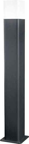 LEDVANCE 4058075478152 SMART+ CUBE MULTICOLOR 50CM Post LED-Außenstandleuchte 9.5W Dunkelgrau, Weiß von LEDVANCE
