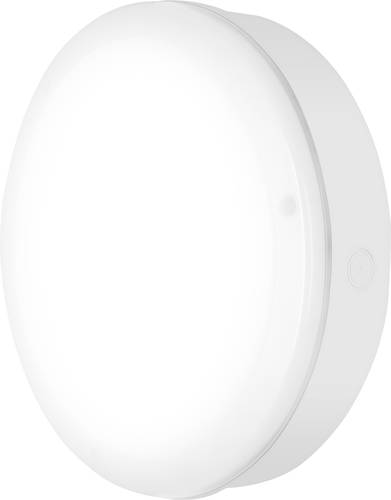 LEDVANCE Surface Bulkhead 82671 LE LED-Außendeckenleuchte, LED-Außenwandleuchte 10W Weiß LEDVANCE Surface Bulkhead 82671 LE LED-Außendeckenleuchte, LED-Außenwandleuchte 10W Weiß von LEDVANCE