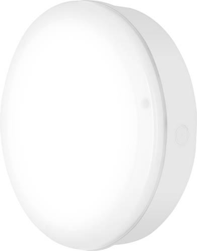 LEDVANCE Surface Bulkhead 82671 LE LED-Außendeckenleuchte, LED-Außenwandleuchte 10W Weiß von LEDVANCE