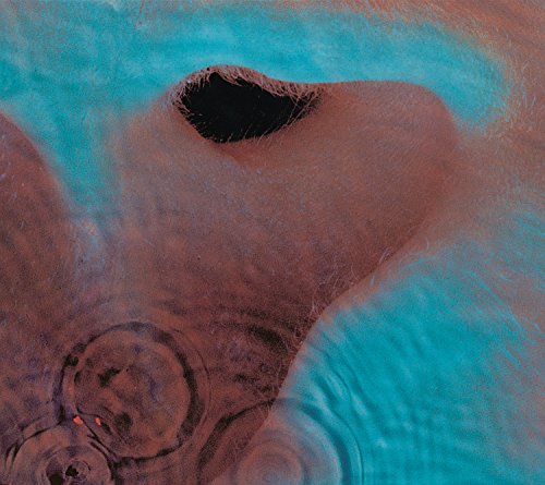 Meddle Meddle von LEGACY RECORDINGS