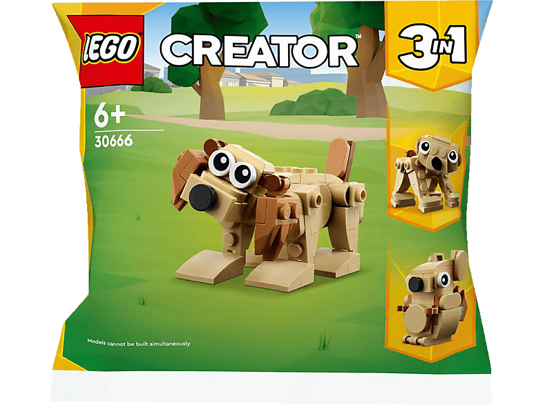 LEGO Creator 30666 Geschenkset mit Tieren Bausatz, Mehrfarbig von LEGO