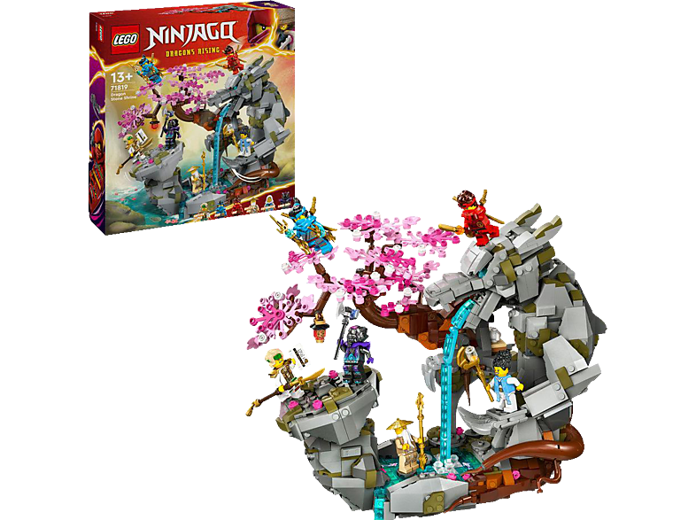 LEGO Ninjago 71819 Drachenstein-Tempel Bausatz, Mehrfarbig von LEGO
