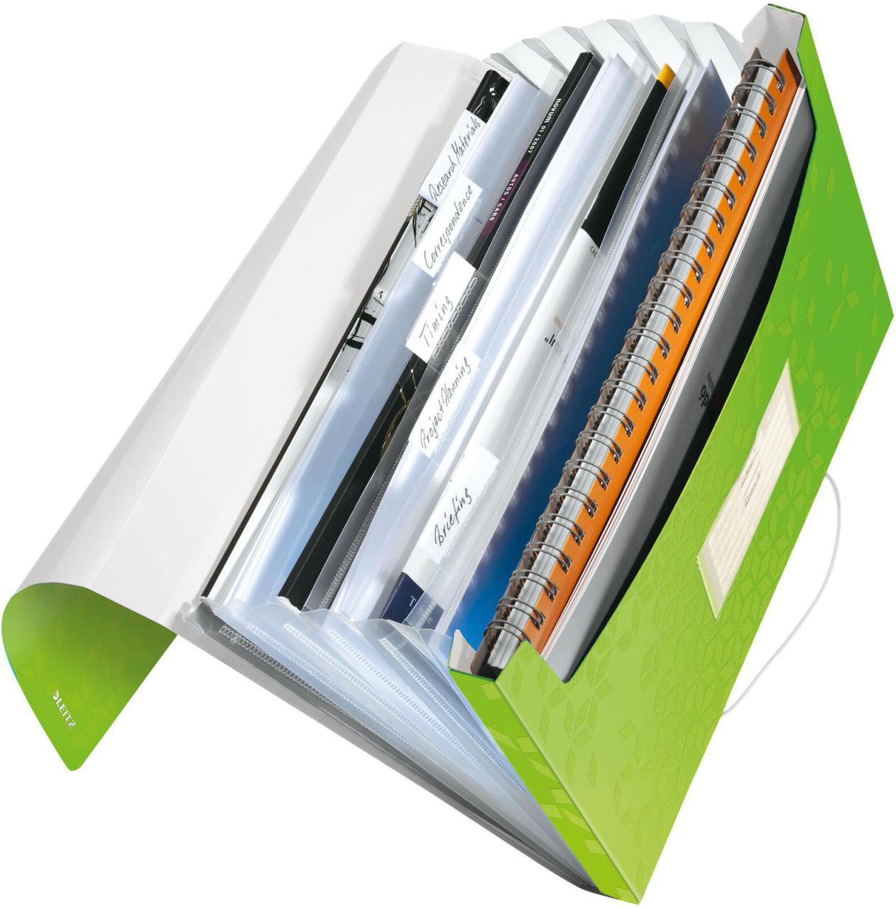 LEITZ Fächermappe DIN A4 6-Fach grün LEITZ Fächermappe DIN A4 6-Fach grün von LEITZ