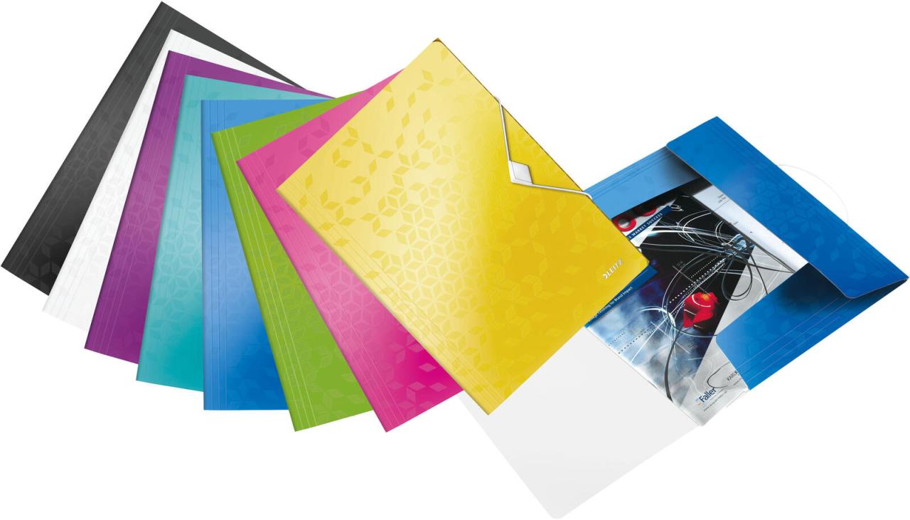 LEITZ Fächermappe DIN A4 6-Fach violett LEITZ Fächermappe DIN A4 6-Fach violett von LEITZ