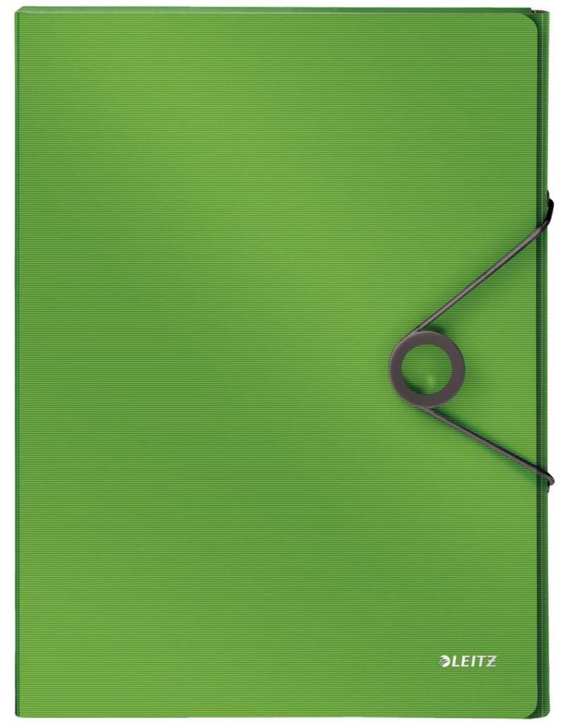 LEITZ Heftbox 2.5 cm DIN A4 hellgrün von LEITZ