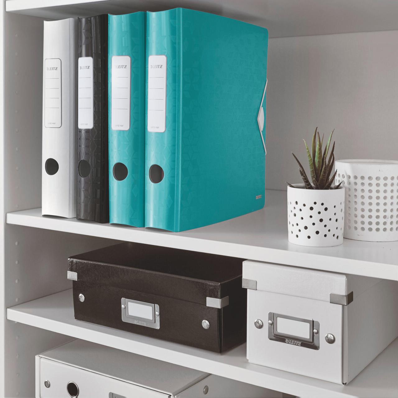 LEITZ Ordner Rückenbreite 6.5 cm DIN A4 Kunststoff eisblau LEITZ Ordner Rückenbreite 6.5 cm DIN A4 Kunststoff eisblau von LEITZ