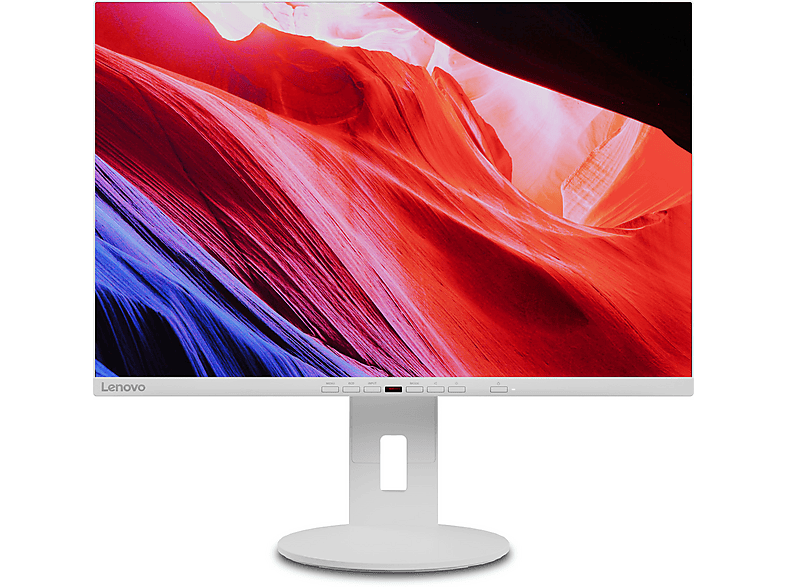 LENOVO - B2B Thinkvision C24d-20 24 Zoll Full-HD Business Monitor (5 ms Reaktionszeit, 60 Hz) von LENOVO - B2B