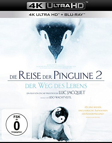 Die Reise der Pinguine 2 – Der Weg des Lebens (4K Ultra HD) + (Blu-ray) von LEONINE