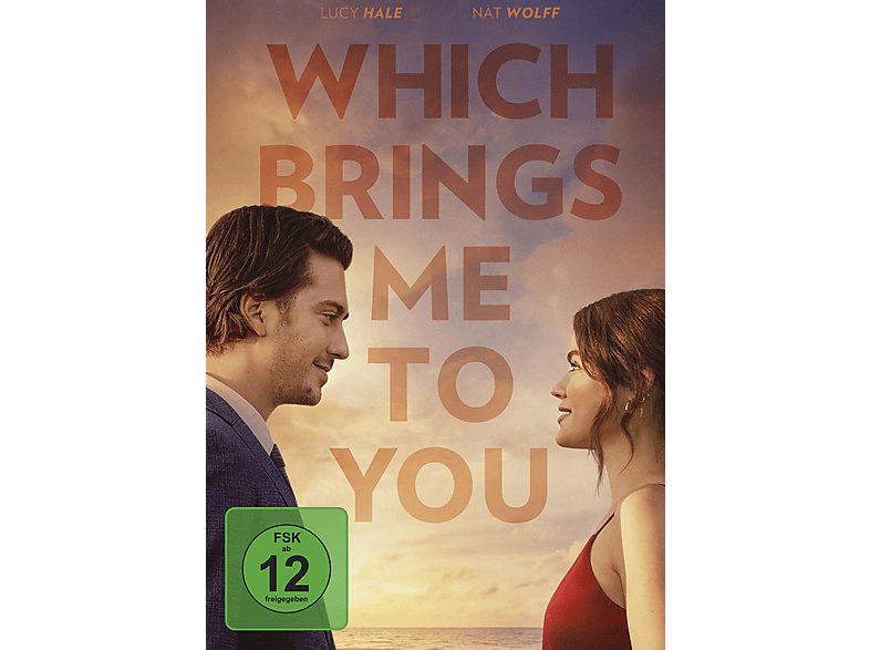 Which Brings Me to You DVD Which Brings Me to You DVD von LEONINE