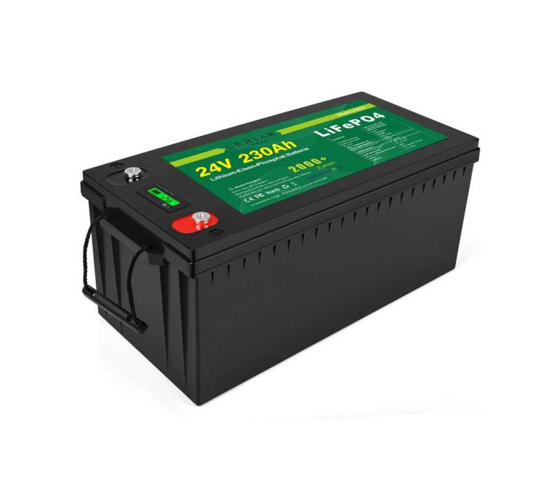 LERIAN POWER LiFePO4 Akku 24V 230Ah 200A Lithium-Eisenphosphatbatterie Camping Boot Akku von LERIAN POWER