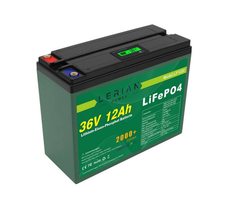 LERIAN POWER LiFePO4 Akku 36V 12Ah 432Wh Lithium-Eisen-Phosphat Batterie LFP BMS Akku von LERIAN POWER