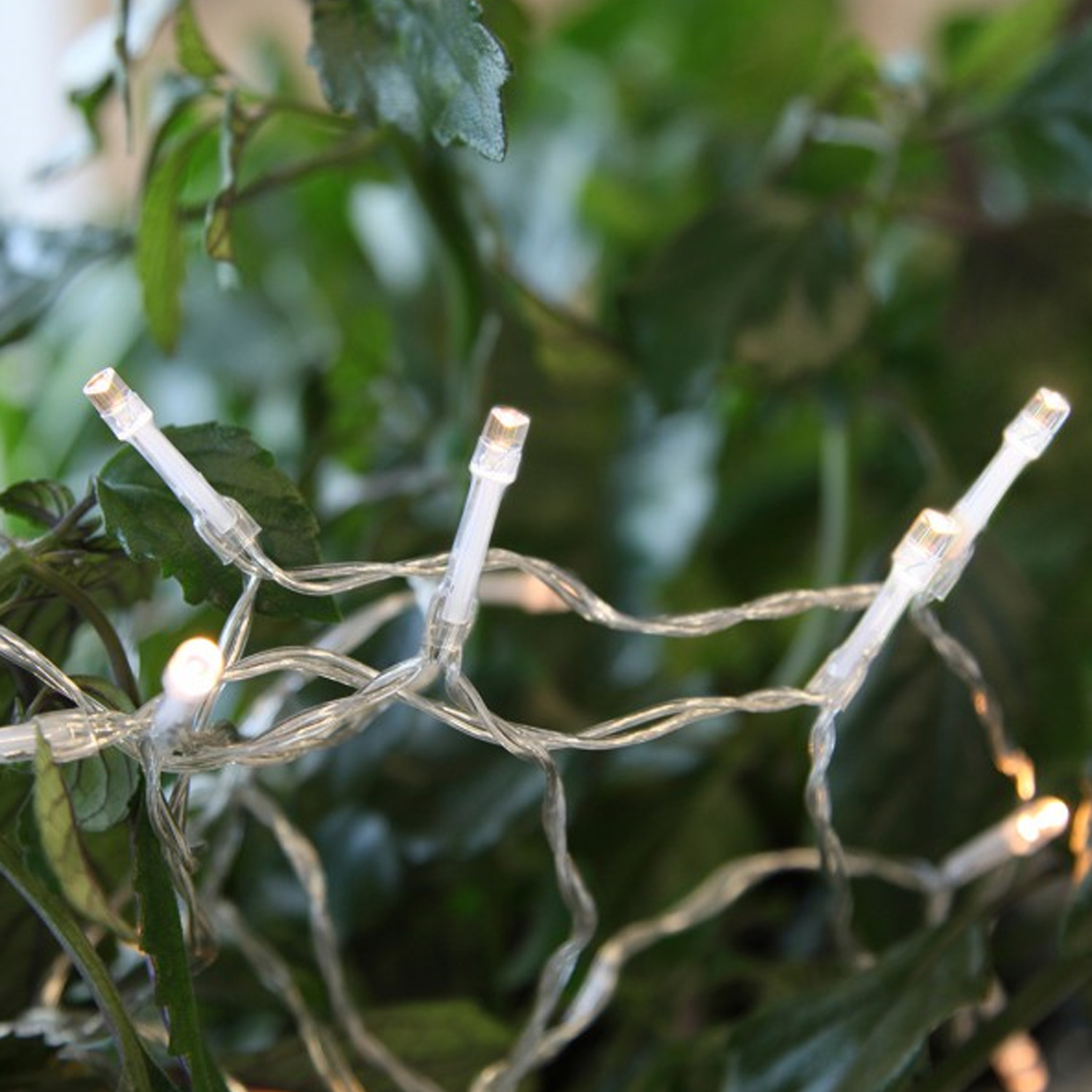 LED Lichterkette - 20 Hellweiße LED - L: 3m - Batterie - Indoor - transparentes Kabel LED Lichterkette - 20 Hellweiße LED - L: 3m - Batterie - Indoor - transparentes Kabel von LEX