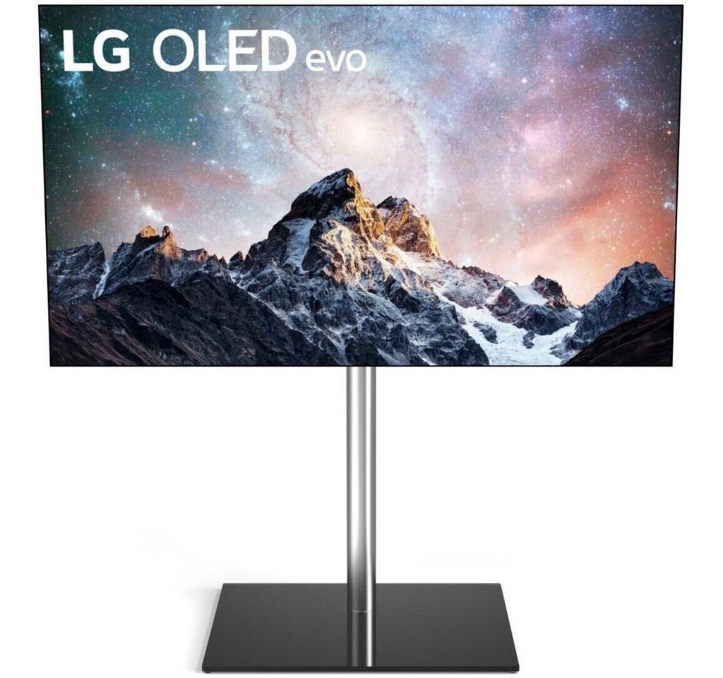 LG TV Stand für OLED 42/48/55/65 C2-Serie (Spectra TV-Wandhalterung von LG