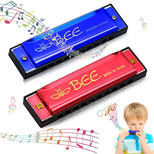 2 Stück Mundharmonika, Harmonika, Mundharmonika für Kinder, Mundharmonika C-Dur, 10-Loch diatonische Harmonika, Major Blues Harmonika, Standard Mundharmonikas, für Student, Anfänger und Profis von LGZIN