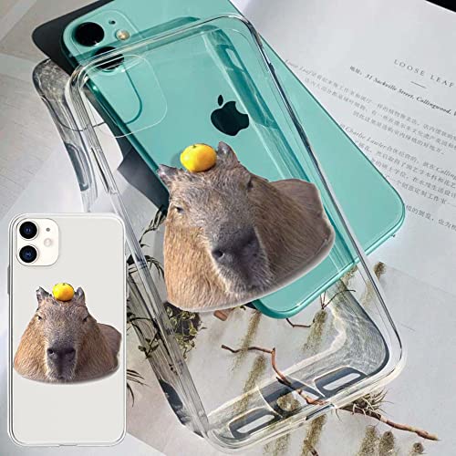 LIFEKA Cute Animal Capybara Handyhülle für iPhone 14 13 Mini 12 11 Pro Max 8 7 6S Plus X XS XR SE 2020 Cover,9,Für iPhone 13mini von LIFEKA