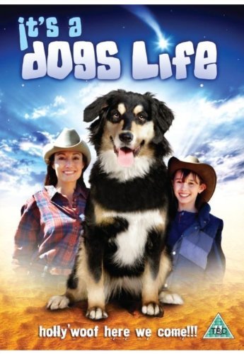 It's A Dog's Life [DVD] von LIGHTHOUSE