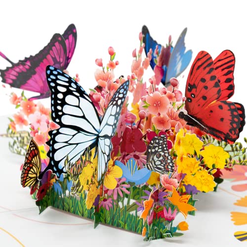 LIMAH® Pop-Up 3D/Beeindruckende Schmetterling und Blumen-Karte für Frauen zum Geburtstag, Hochzeit, Valentinstag und Muttertag/Motiv Schmetterlingswiese/In Bunt von LIMAH