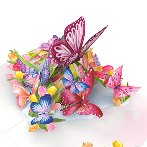 LIMAH® Pop-Up 3D Geburtstagskarte mit Schmetterlingen und Tulpen - Blumen Karte zum Geburtstag, Muttertag, Valentinstag als Gutschein, Geldgeschenk oder zum Geburtstagsgeschenk von LIMAH