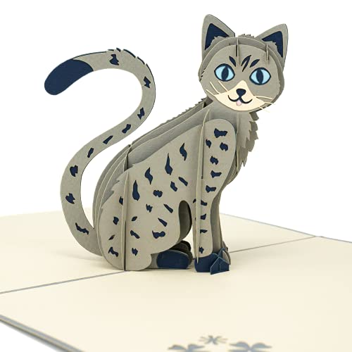 LIMAH® Pop Up 3D Katze,Geburtstagskarte, Glückwunschkarte, Freundschaftskarte, Geschenkkarte, Überraschungskarte mit einer großen grauen Katze mit großen blauen Augen von LIMAH