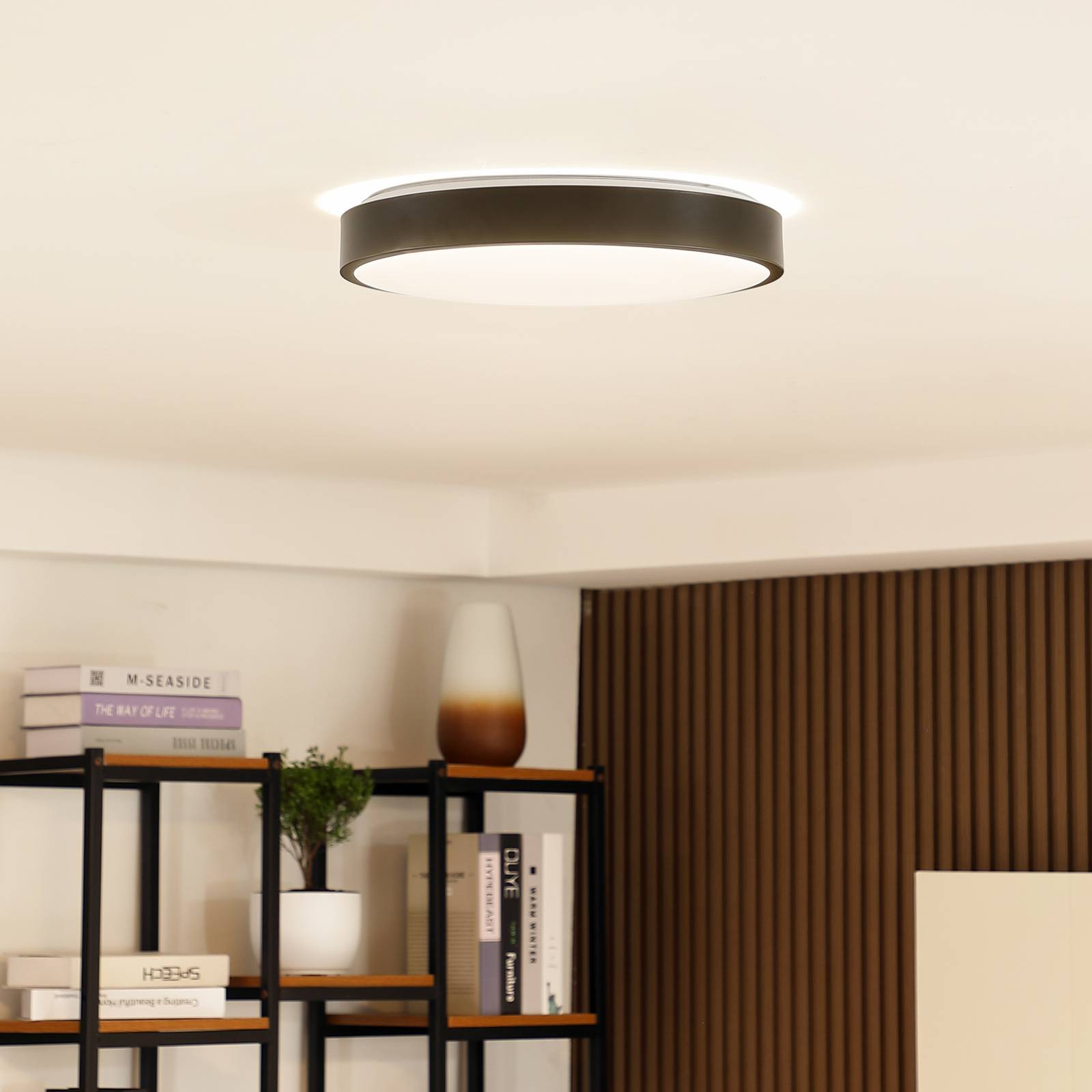Lindby Smart LED-Deckenlampe Innes schwarz 38cm RGB CCT Tuya Lindby Smart LED-Deckenlampe Innes schwarz 38cm RGB CCT Tuya von LINDBY