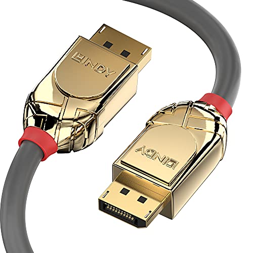 LINDY 36291 1m DisplayPort 1.4 Kabel, Gold Line von LINDY
