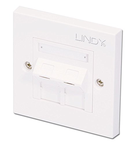 LINDY CAT5e Einzelwandplatte mit 2 x abgewinkelten RJ-45-Buchsen, ungeschirmt von LINDY