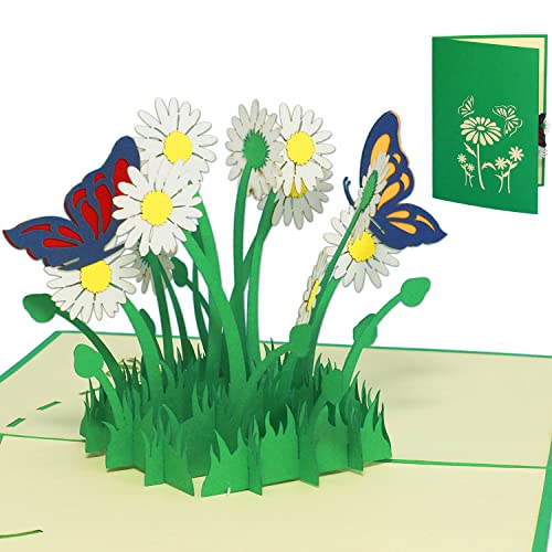 LIN 17554, POP - UP Karten, POP UP Karten Geburtstag, Pop Up Karte Blume, Pop Up Geburtstagskarte, 3D Grußkarten Klappkarte viel Glück Gute Besserung, Schmetterlinge, Margeriten, N310 von LINPOPUP