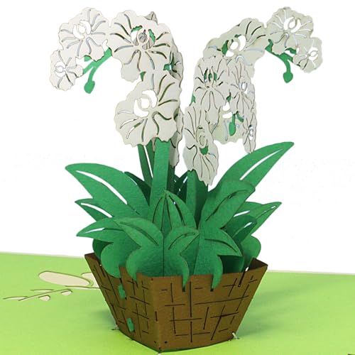 LINPOPUP® Pop-Up Karte Blumen - Orchidee, Grußkarte Geburtstag, 3D Geburtstagskarte, Blumenstrauß, Klappkarte, Abschiedskarte, viel Glück Gute Besserung, Orchidee Weiß, N361 von LINPOPUP