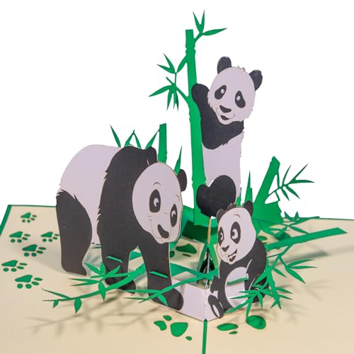 LINPOPUP® Pop-Up Karte Tiere – Panda Bär, XXL Geburtstagskarte mit drehendem Pandabär, als Geschenk für Zoo Gutschein, Muttertagskarte, Geldgeschenk, Gutscheinkarte, N198 von LINPOPUP