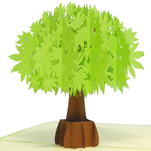 LINPOPUP®, Pop Up Karte Baum, Natur, Geburtstag, Grußkarten Glückwunschkarten Gute Besserung, Muttertagskarten Baum, N718 von LINPOPUP