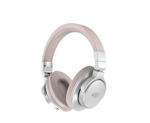 LINSOUL Kiwi Ears Division Offenes Ohr Kopfhörer, 40mm Dynamischer Treiber Monitoring Kopfhörer, Kabelgebundenes Gaming Kopfhörer, DJ Kopfhörer für Professionelle Musiker Ingenieure (Silber) von LINSOUL