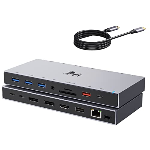 Docking Station USB C Dual Displayport HDMI USB C Dock für Laptop USB C Docking Station mit Kabel 1m, 4K HDMI, 2 DP 4K, 100W PD, RJ45 Ethernet, 10Gbps USB C, USB 3.1/3.0/2.0, SD/TF, 3.5mm Audio&Mic von LIONWEI