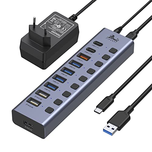 USB Hub Aktiv 3.1 mit Netzteil 60W(12V/5A), Aluminium Mehrfacher Anschluss USB Hub, 10-IN-1 USB C Hub mit 2*USB-C 3.1 10Gbps, USB-A 3.1, 4*USB-A 3.0, 3*Ladeanschluss und EIN/Aus-Schalter von LIONWEI