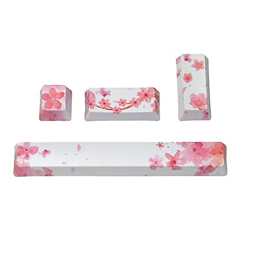 LLHCF OEM Profile 4 Tasten Tastenkappen-Set Esc Enter Space 6,25U PBT Farbstoffsublimation Mechanische Tastatur Tastenkappe Querformat Tastenkappe LLHCF OEM Profile 4 Tasten Tastenkappen-Set Esc Enter Space 6,25U PBT Farbstoffsublimation Mechanische Tastatur Tastenkappe Querformat Tastenkappe von LLHCF