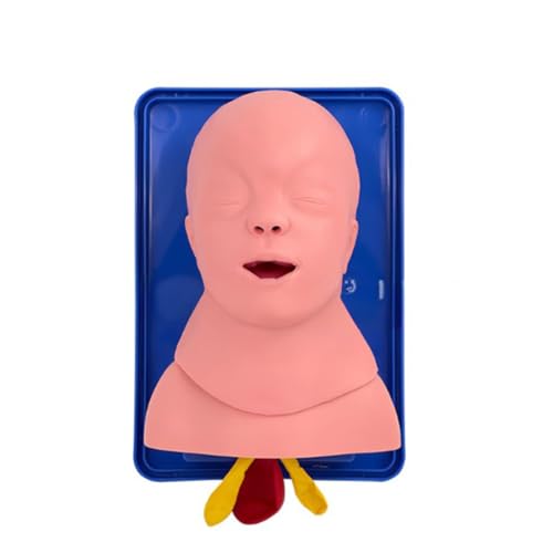 Baby Airway Insertion Training Model Baby Airway Insertion Simulator Tracheal Intubation Training Model for Clinical Baby Airway Insertion Training Model Baby Airway Insertion Simulator Tracheal Intubation Training Model for Clinical von LLINthy