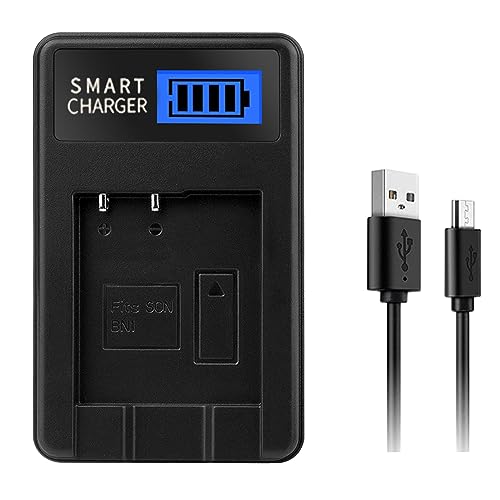 Kamera-Akku mit LCD-Bildschirm für DSCT110, DSCT99, DSCTF1, DSCTX30, DSCTX20, kompakt und reisefreundlich von LLINthy