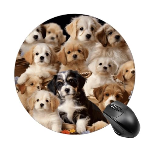 Mauspad, Gaming-Mauspad, klein, rutschfest, Gummi, niedliches Haustier-Hunde, waschbar, wasserdicht, Mauspad für Computer, Laptop Mauspad, Gaming-Mauspad, klein, rutschfest, Gummi, niedliches Haustier-Hunde, waschbar, wasserdicht, Mauspad für Computer, Laptop von LMHLDSC