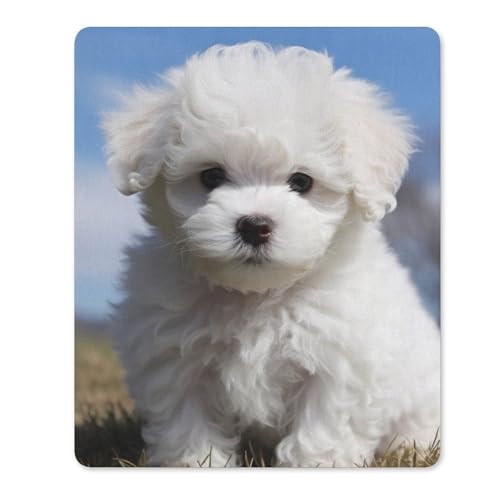 Quadratisches, bequemes Mauspad, waschbar, tragbar, Bichon Frisé, Hund, rutschfestes Gummi-Mauspad für Computer, Laptop, Maus Quadratisches, bequemes Mauspad, waschbar, tragbar, Bichon Frisé, Hund, rutschfestes Gummi-Mauspad für Computer, Laptop, Maus von LMHLDSC