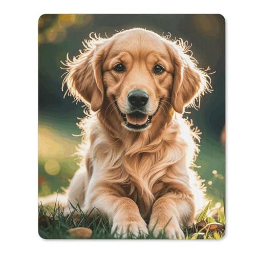 Quadratisches, bequemes Mauspad, waschbar, tragbar, Golden Retriever, rutschfestes Gummi-Mauspad für Computer, Laptop, Maus Quadratisches, bequemes Mauspad, waschbar, tragbar, Golden Retriever, rutschfestes Gummi-Mauspad für Computer, Laptop, Maus von LMHLDSC