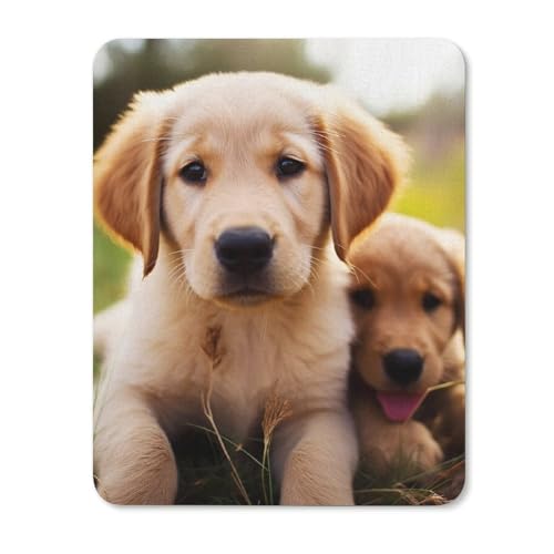 Quadratisches, bequemes Mauspad, waschbar, tragbar, niedlicher Golden Retriever-Welpe, rutschfestes Gummi-Mauspad für Computer, Laptop, Maus Quadratisches, bequemes Mauspad, waschbar, tragbar, niedlicher Golden Retriever-Welpe, rutschfestes Gummi-Mauspad für Computer, Laptop, Maus von LMHLDSC