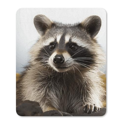 Quadratisches, bequemes Mauspad, waschbar, tragbar, waschbar, waschbarer Waschbär, rutschfest, Gummi-Mauspad für Computer, Laptop, Maus Quadratisches, bequemes Mauspad, waschbar, tragbar, waschbar, waschbarer Waschbär, rutschfest, Gummi-Mauspad für Computer, Laptop, Maus von LMHLDSC