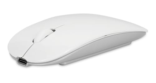 Master Mouse Bluetooth kabelloses Laden mit Qi-Standard oder USB-C, 2-Tasten- und Scrollrad - Silber von LMP