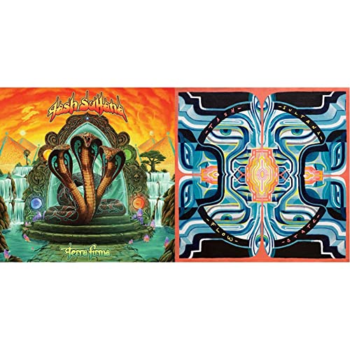 Terra Firma & Flow State Terra Firma & Flow State von LONELY LANDS RECORDS