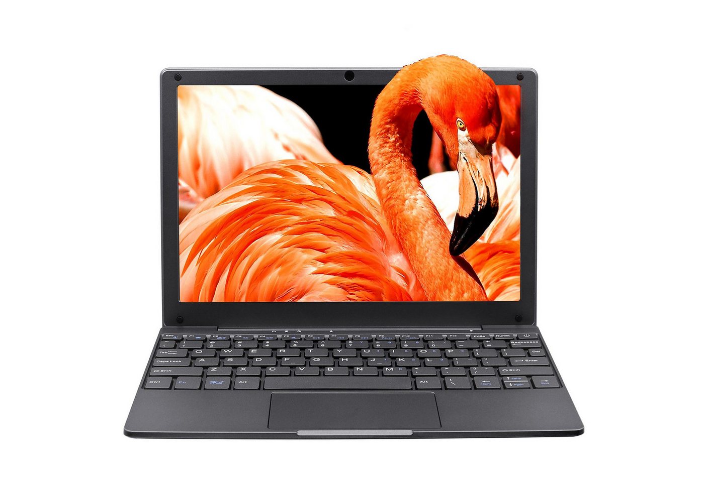 LONGEVINCE Mini Laptop, Celeron N4020, 8 GB RAM, ultraleichtes Netbook Notebook (25,6 cm/10.1 Zoll, Intel Windows 11 Pro, 128 GB SSD, mit WLAN, BT, Webcam, USB 3.0, Typ-C, HDMI) von LONGEVINCE