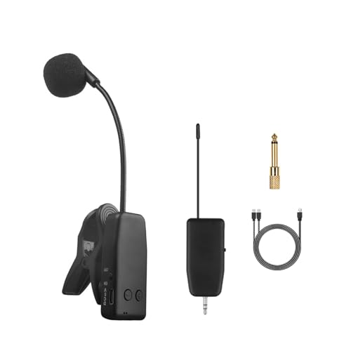 LOVIVER Instrumentenmikrofon, Mikrofon, Gitarrensystem, tragbares Band, Verstärker, Empfänger, Flöte, Zubehör, Clip-Kondensatormikrofon, 3.5 mm von LOVIVER