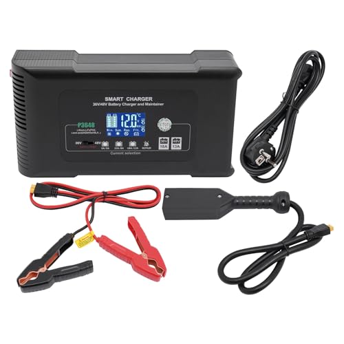 6 Volt 18 AMP Golfwagen-Batterieladegerät,Batterie Ladegerät für Lithium-, LiFePO4- und Blei-Säure-Batterien von LOYEMAADE